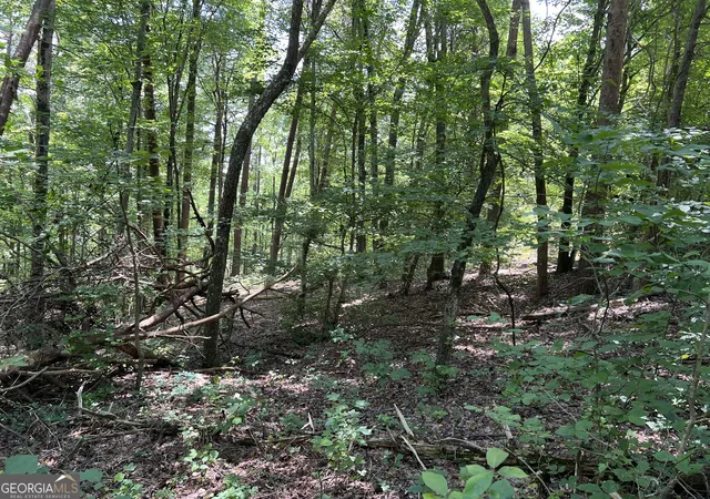 Photo 3 of Land for sale at 0 Lavender Trl, Rome, GA 30165 | MLS# 10553634 | Listing updated on 2026-07-19