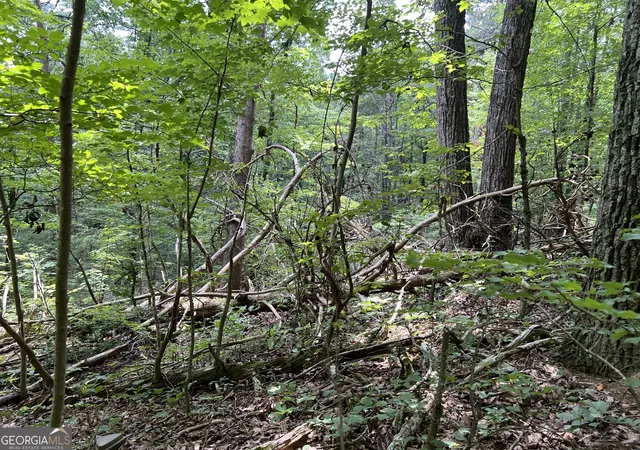 Photo 4 of Land for sale at 0 Lavender Trl, Rome, GA 30165 | MLS# 10553634 | Listing updated on 2026-07-19
