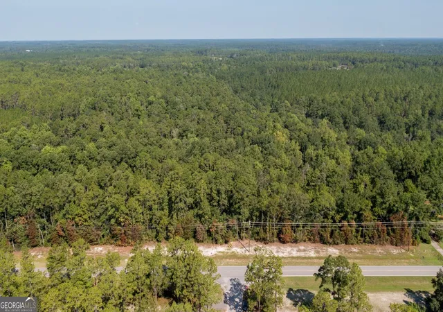 1st image of 0 Hwy 121 #6.7 +OR- ACRES, Folkston, GA 31537 | MLS# 10820041