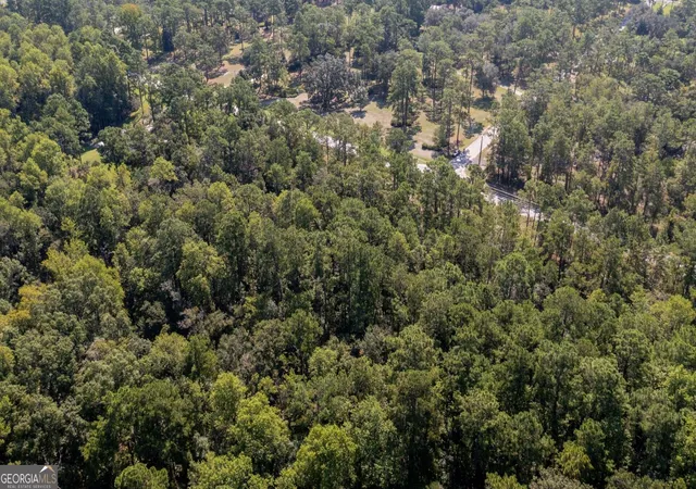 Photo 3 of Land for sale at 0 Hwy 121 #6.7 +OR- ACRES, Folkston, GA 31537 | MLS# 10820041 | Listing updated on 2026-09-05