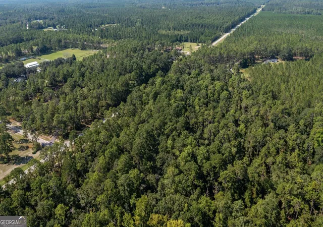 Photo 4 of Land for sale at 0 Hwy 121 #6.7 +OR- ACRES, Folkston, GA 31537 | MLS# 10820041 | Listing updated on 2026-09-05