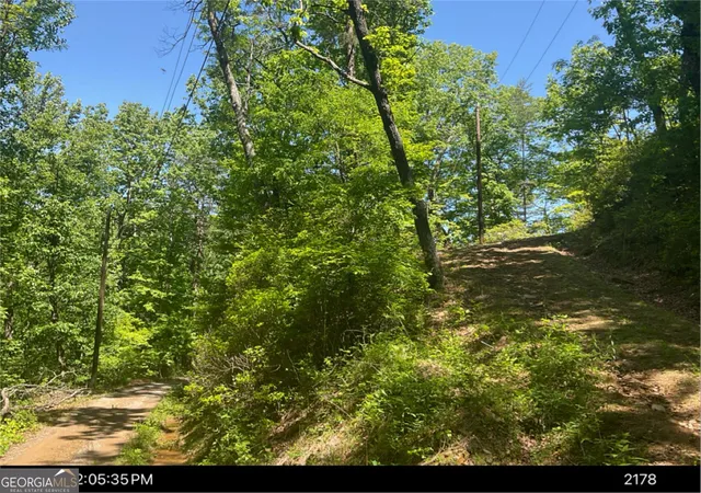 Homes for sale in Jasper, GA | 00 Laurel Branch Dr, Jasper, GA 30143 | MLS# 10799207