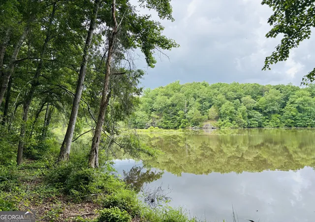 Homes for sale in Woodland, AL | Lot 8 County Road 499, Woodland, AL 36280 | MLS# 10789670
