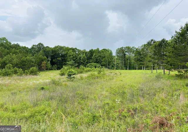 Homes for sale in Woodland, AL | Lot 8 County Road 499, Woodland, AL 36280 | MLS# 10789670