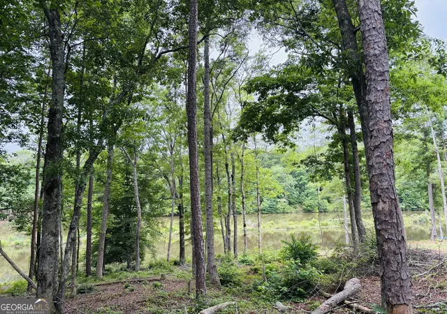 Photo 3 of Land for sale at Lot 8 County Rd 499, Woodland, AL 36280 | MLS# 10789670 | Listing updated on 2026-07-03