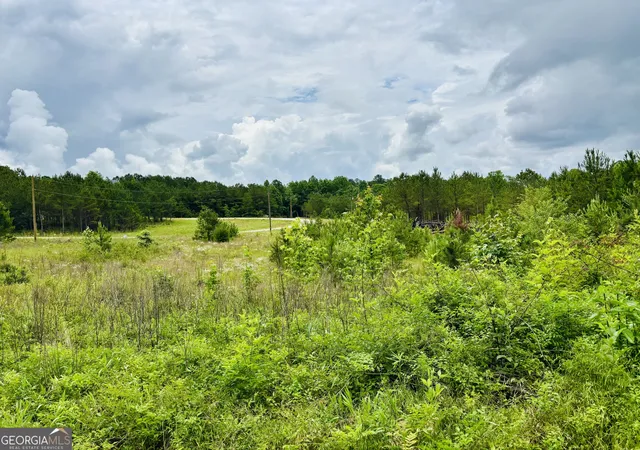 Photo 3 of Land for sale at Lot 8 County Rd 499, Woodland, AL 36280 | MLS# 10789670 | Listing updated on 2026-07-03