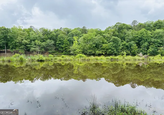 Photo 4 of Land for sale at Lot 8 County Rd 499, Woodland, AL 36280 | MLS# 10789670 | Listing updated on 2026-07-03