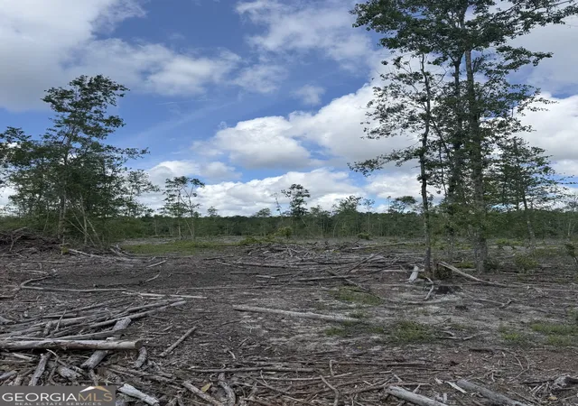 Photo 1 of Land for sale at 0 Mt Hope Rd, Guyton, GA 31312 | MLS# 10782933 | Listing updated on 2026-06-24