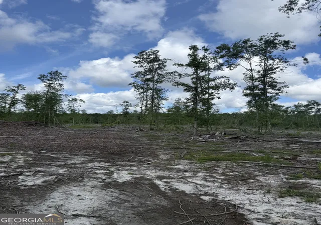 Photo 3 of Land for sale at 0 Mt Hope Rd, Guyton, GA 31312 | MLS# 10782933 | Listing updated on 2026-06-24