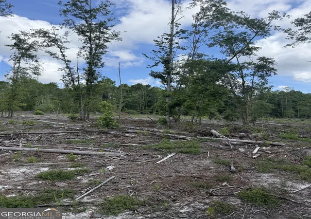 Photo 3 of Land for sale at 0 Mt Hope Rd, Guyton, GA 31312 | MLS# 10782933 | Listing updated on 2026-06-24