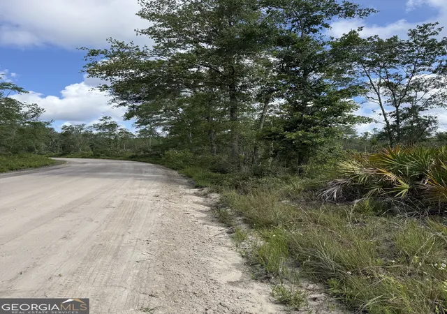 Photo 4 of Land for sale at 0 Mt Hope Rd, Guyton, GA 31312 | MLS# 10782933 | Listing updated on 2026-06-24
