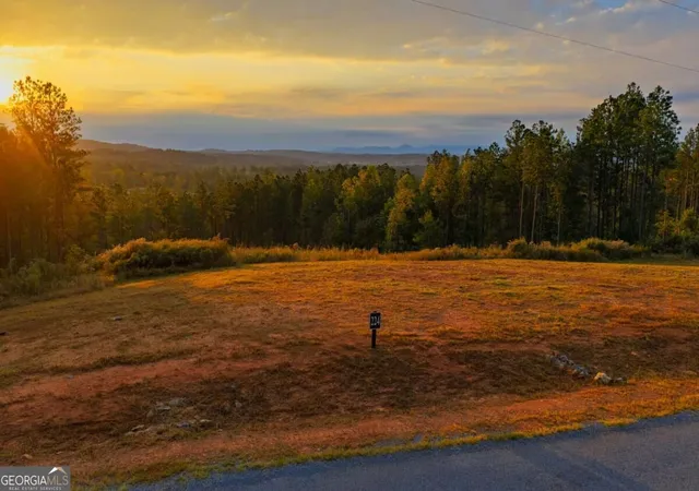 1st image of Lot 224 W Vista Ridge Pkwy, Talking Rock, GA 30175 | MLS# 10831076