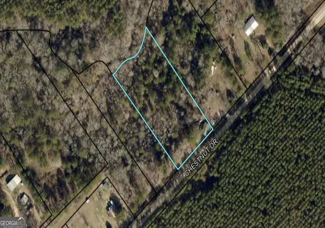 2nd image of 0 Chestnut Dr, Eastman, GA 31023 | MLS# 10787706