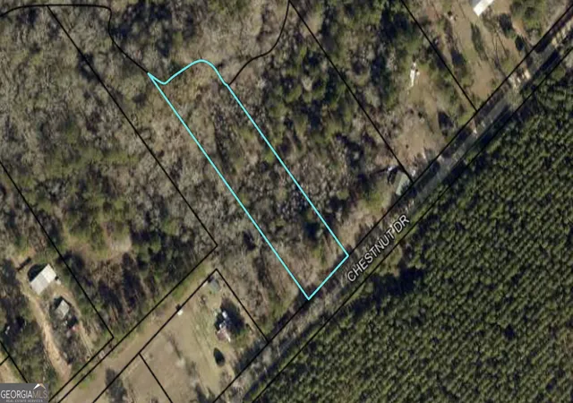 3rd image of 0 Chestnut Dr, Eastman, GA 31023 | MLS# 10787706
