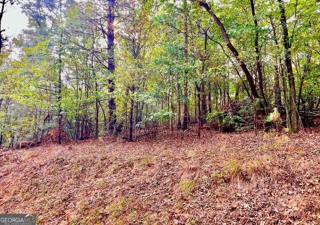 Photo 1 of Land for sale at 573 Cataula Ct, Ellijay, GA 30540 | MLS# 10402147 | Listing updated on 2026-04-30