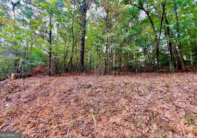 Photo 1 of Land for sale at 573 Cataula Ct, Ellijay, GA 30540 | MLS# 10402147 | Listing updated on 2026-04-30