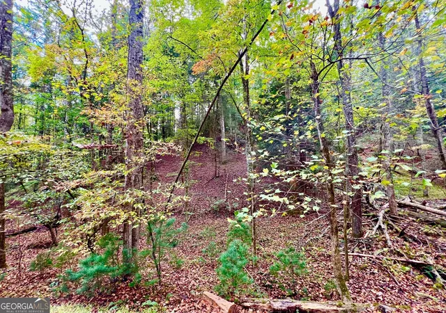 Photo 2 of Land for sale at 573 Cataula Ct, Ellijay, GA 30540 | MLS# 10402147 | Listing updated on 2026-04-30