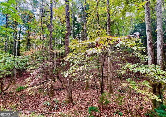 Photo 3 of Land for sale at 573 Cataula Ct, Ellijay, GA 30540 | MLS# 10402147 | Listing updated on 2026-04-30
