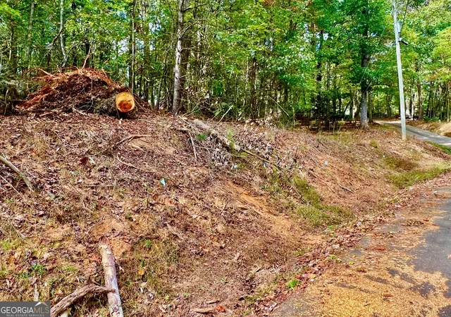 Photo 4 of Land for sale at 573 Cataula Ct, Ellijay, GA 30540 | MLS# 10402147 | Listing updated on 2026-04-30