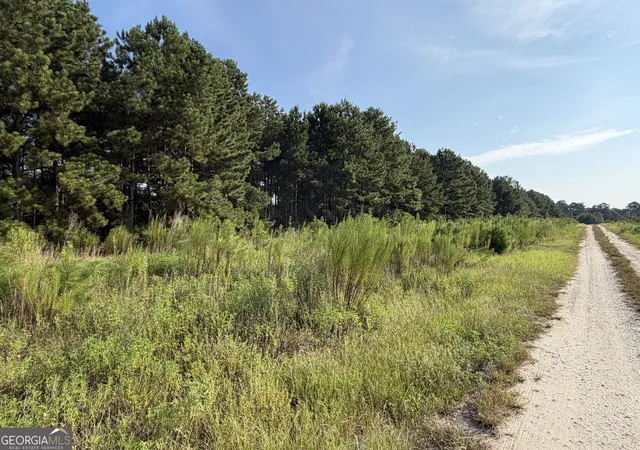 1st image of 0 Hwy 296, Stapleton, GA 30823 | MLS# 10830899