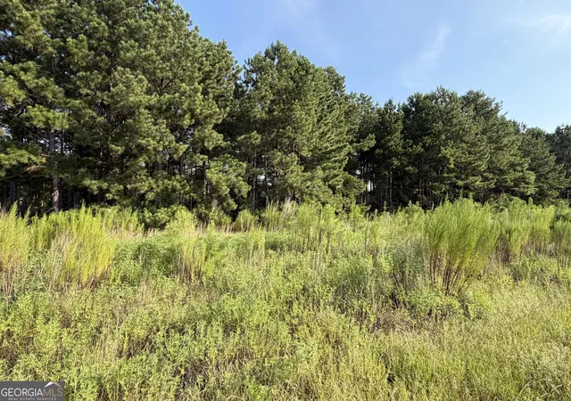 2nd image of 0 Hwy 296, Stapleton, GA 30823 | MLS# 10830899