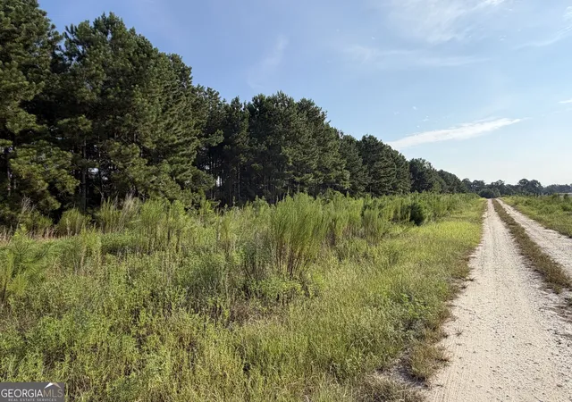 3rd image of 0 Hwy 296, Stapleton, GA 30823 | MLS# 10830899