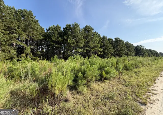 4th image of 0 Hwy 296, Stapleton, GA 30823 | MLS# 10830899