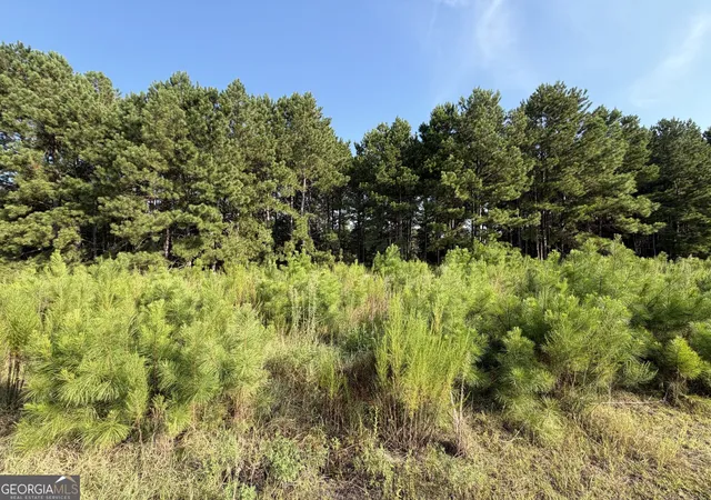 5th image of 0 Hwy 296, Stapleton, GA 30823 | MLS# 10830899