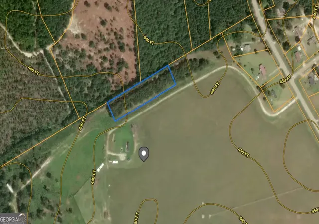 9th image of 0 Hwy 296, Stapleton, GA 30823 | MLS# 10830899