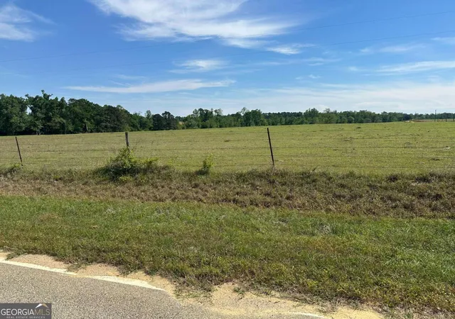 1st image of 2905 Donald Cobb Rd, Bartow, GA 30413 | MLS# 10780238
