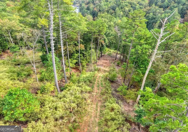 Photo 3 of Land for sale at Lt 269 River View Trl, Ellijay, GA 30540 | MLS# 10624090 | Listing updated on 2026-05-16