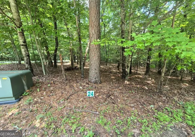 Photo 2 of Land for sale at Lot 24 Possum Poke Rd #24R, Ellijay, GA 30536 | MLS# 10832458 | Listing updated on 2026-10-02