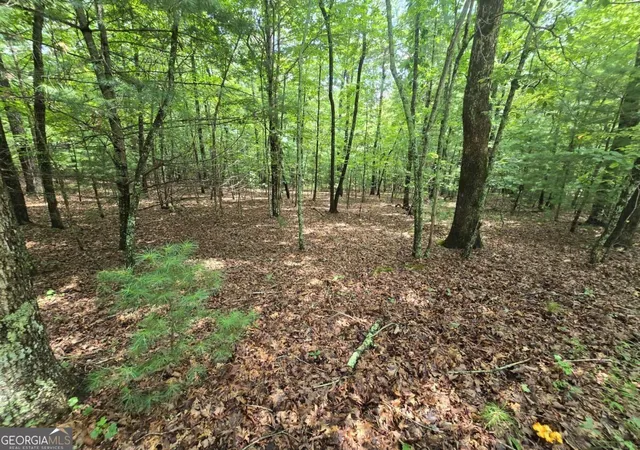 Photo 4 of Land for sale at Lot 24 Possum Poke Rd #24R, Ellijay, GA 30536 | MLS# 10832458 | Listing updated on 2026-10-02