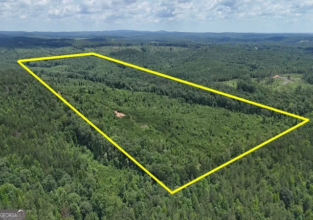 4th image of 0 Old Hwy 431 #LOT A, Wedowee, AL 36278 | MLS# 10795040