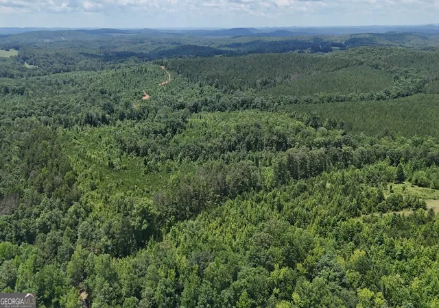 5th image of 0 Old Hwy 431 #LOT A, Wedowee, AL 36278 | MLS# 10795040