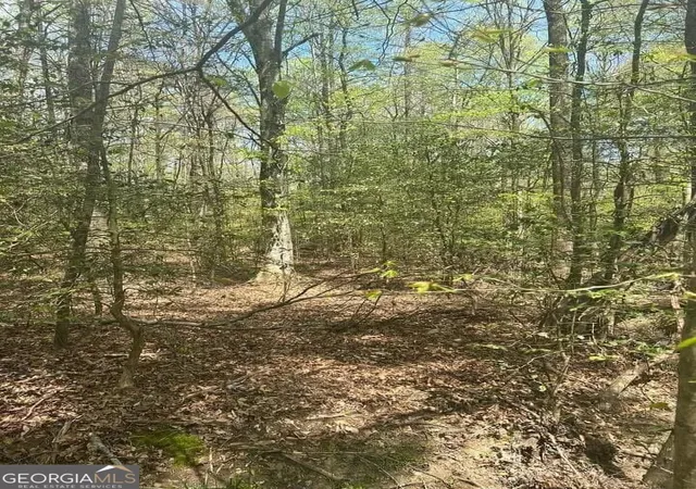 Photo 2 of Sale Pending at 0 Holly Ct, Ellijay, GA 30536 | MLS# 10591942 | Listing updated on 2026-09-12