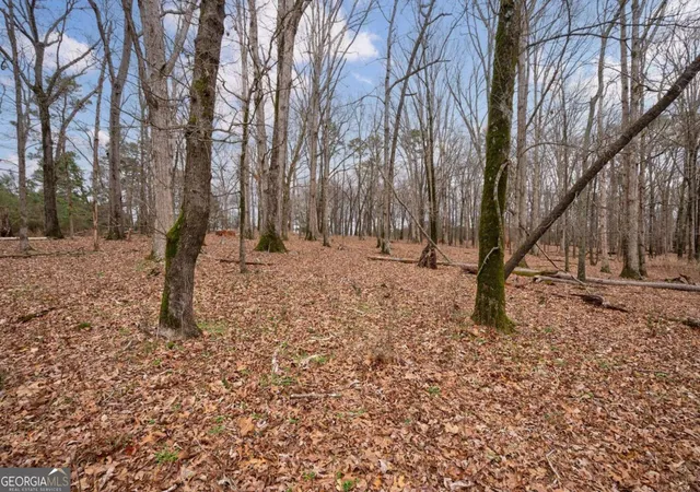 Photo 2 of Land for sale at Tract 3 High Shls Rd, Bishop, GA 30621 | MLS# 10760836 | Listing updated on 2026-06-11