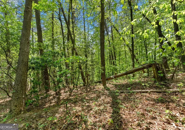 5th image of 0 Monroe Ridge Rd, Sautee Nacoochee, GA 30571 | MLS# 10740522