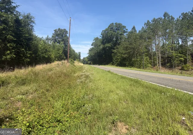 Homes for sale in Toomsboro, GA | 0 Branan Rd, Toomsboro, GA 31090 | MLS# 10781286