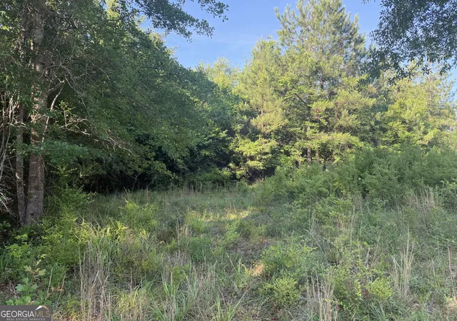 Homes for sale in Toomsboro, GA | 0 Branan Rd, Toomsboro, GA 31090 | MLS# 10781286