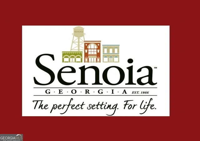 12th image of 105 Loring Ln, Senoia, GA 30276 | MLS# 10810448