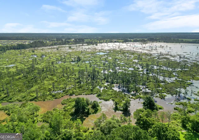 3rd image of 0 Kennedy Pond Rd, Statesboro, GA 30458 | MLS# 10799609