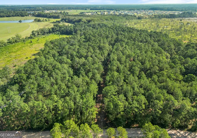 4th image of 0 Kennedy Pond Rd, Statesboro, GA 30458 | MLS# 10799609
