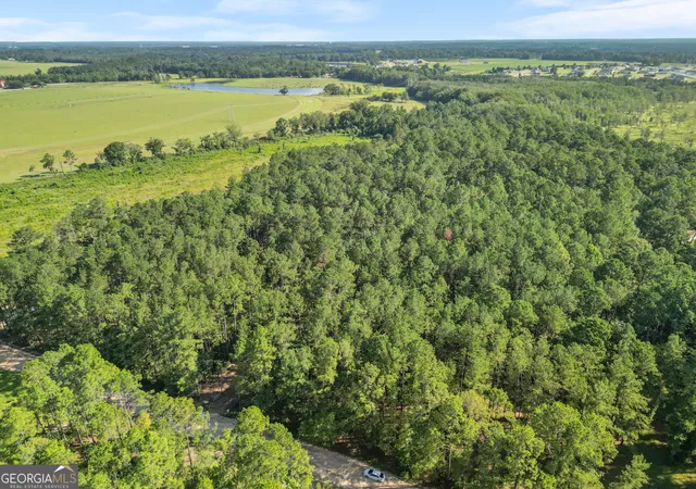 5th image of 0 Kennedy Pond Rd, Statesboro, GA 30458 | MLS# 10799609