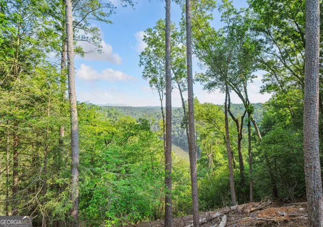 2nd image of 54 Myna, Ellijay, GA 30540 | MLS# 10533835