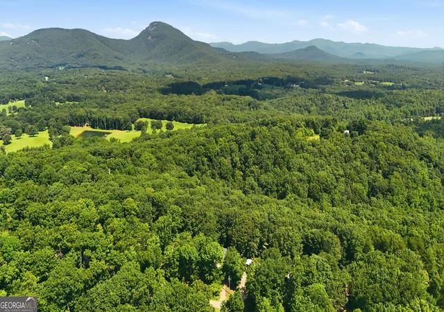 39th image of 500 Washboard Rd, Cleveland, GA 30528 | MLS# 10826394