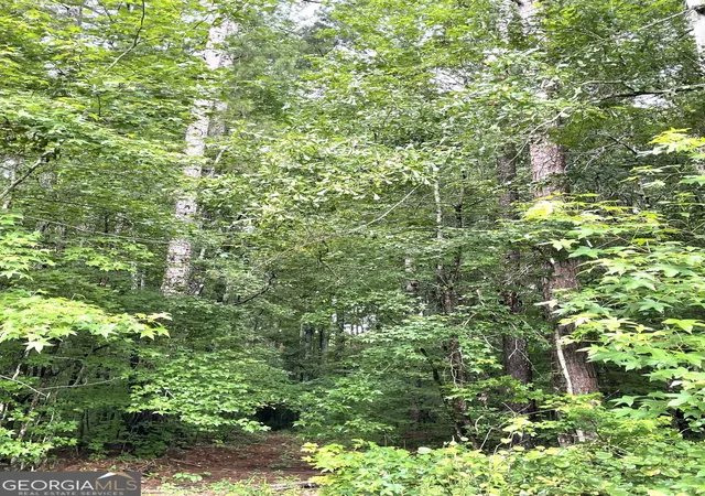 1st image of 0 Sims St, Barnesville, GA 30204 | MLS# 10811126