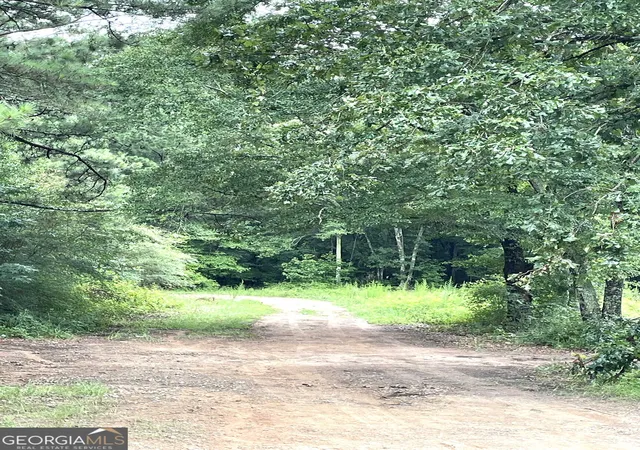 2nd image of 0 Sims St, Barnesville, GA 30204 | MLS# 10811126