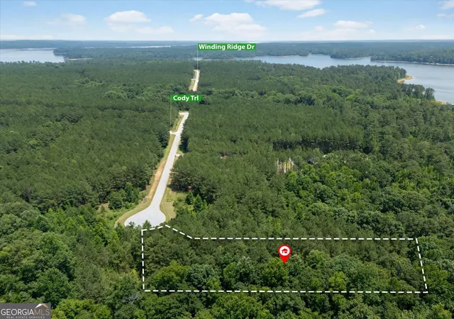 Photo 3 of Land for sale at 1217 Edge Ln, Tignall, GA 30668 | MLS# 10804161 | Listing updated on 2026-08-17