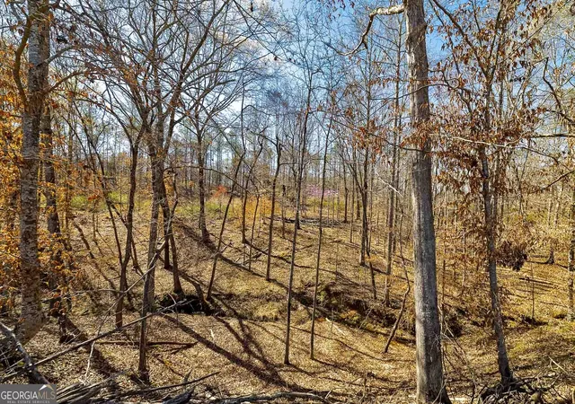 Homes for sale in Flovilla, GA | Lot 7 Mayfield Rd, Flovilla, GA 30216 | MLS# 10575832